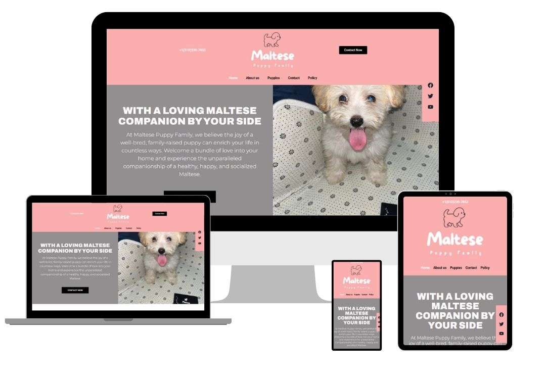 Maltese Puppy Family