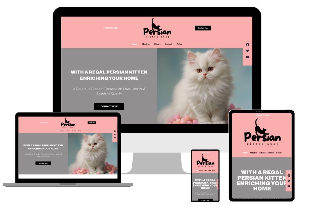 Persian Kittens Home